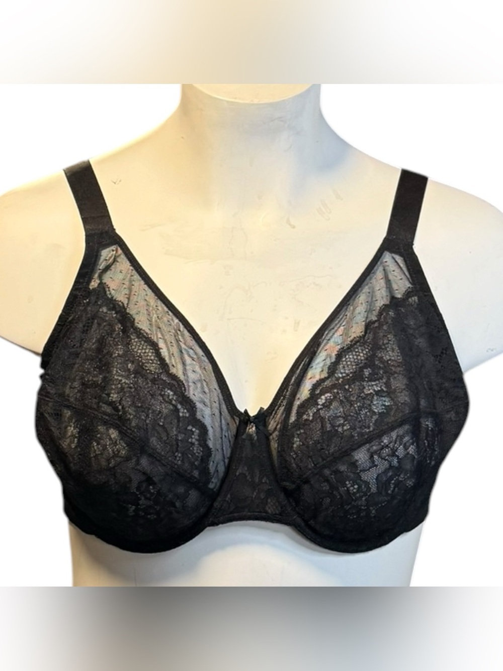 HSIA Lace Underwire Bra 46DD Black Sheer Full Coverage Support Plus Size NWT